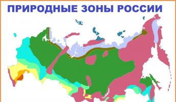 Správa o okolitom svete na tému: „Prírodné oblasti Ruska